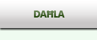 Dahla